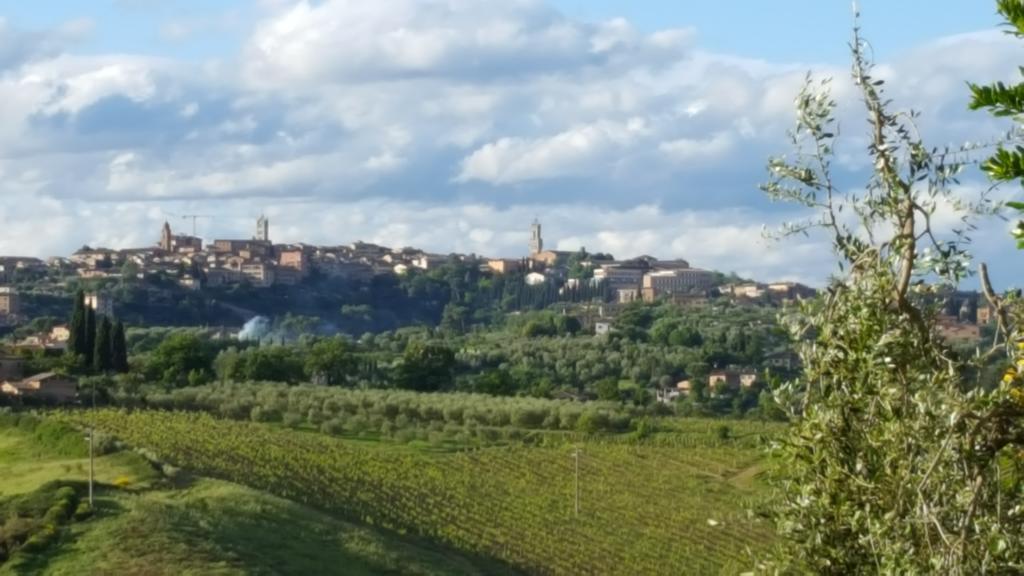 Aia Mattonata Relais Bed & Breakfast Siena Exterior photo